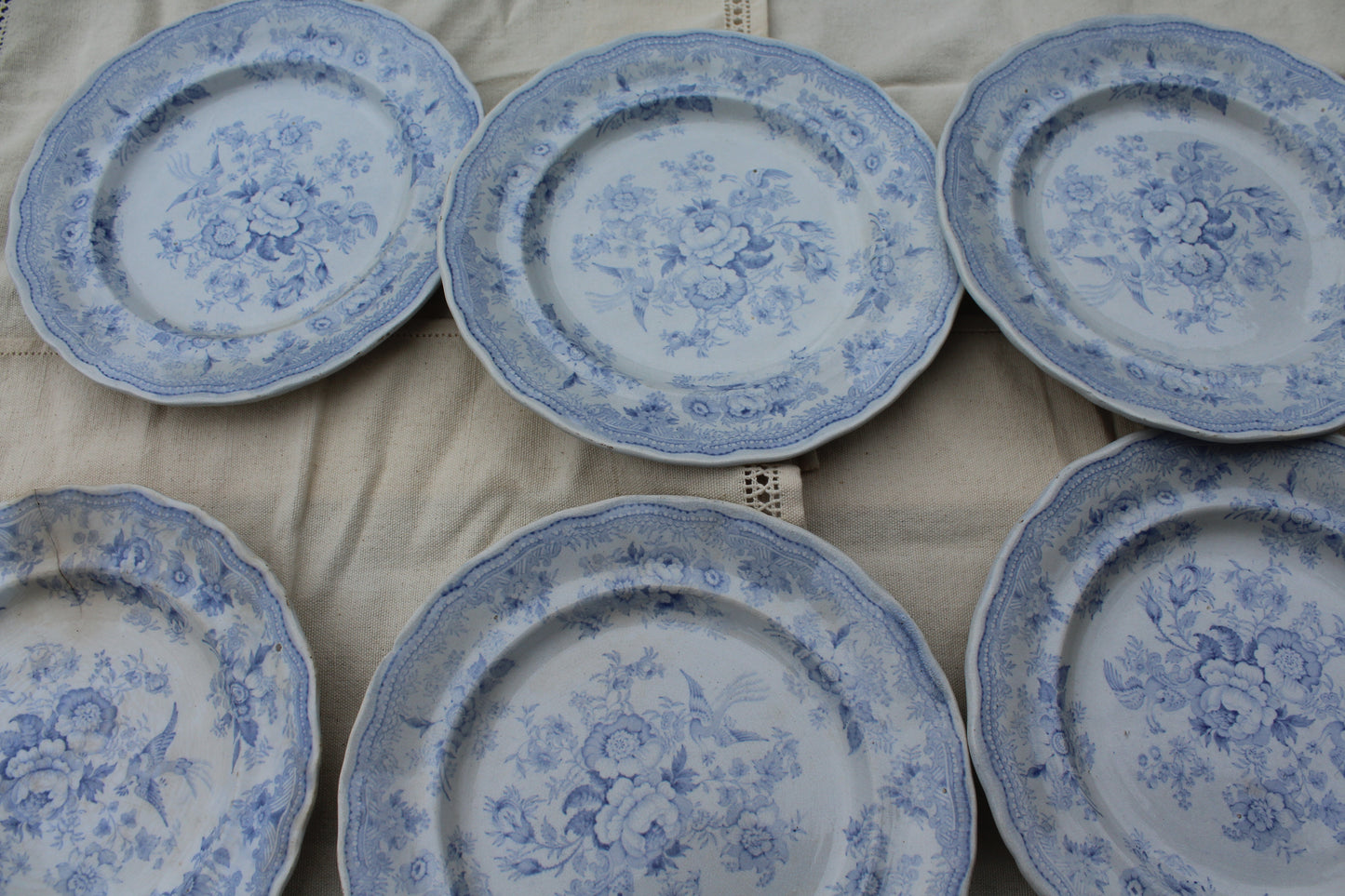 Set of Antique English Blue and White Ironstone Dinner Plates, Antique Blue and White Plate, Asiatic Pheasant English Ironstone Plates