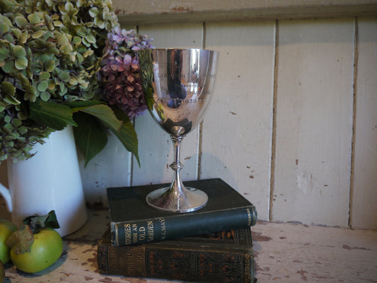 Antique English Silver Plate Trophy - Decorative Silverplated Trophy - Vintage Trophy - Vintage Silver Cup  - Trophy - Vintage Cup