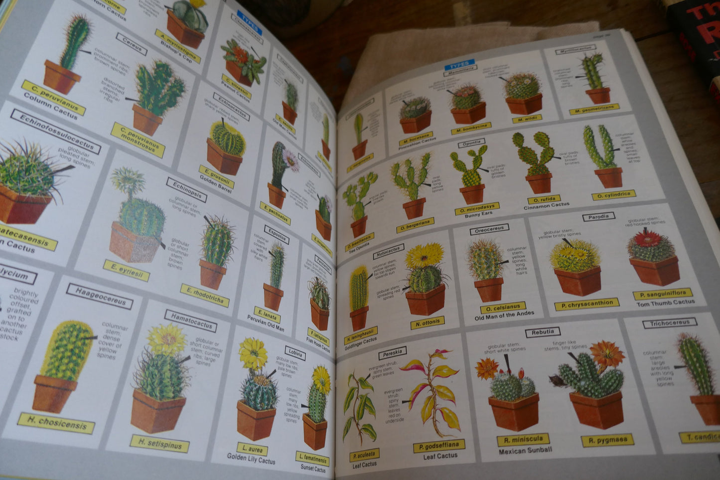 Pair of Vintage English Plant Book- Vintage Garden Book - Coffee table book -  Flower Book - Nature Book - House Plants Book - House Plants