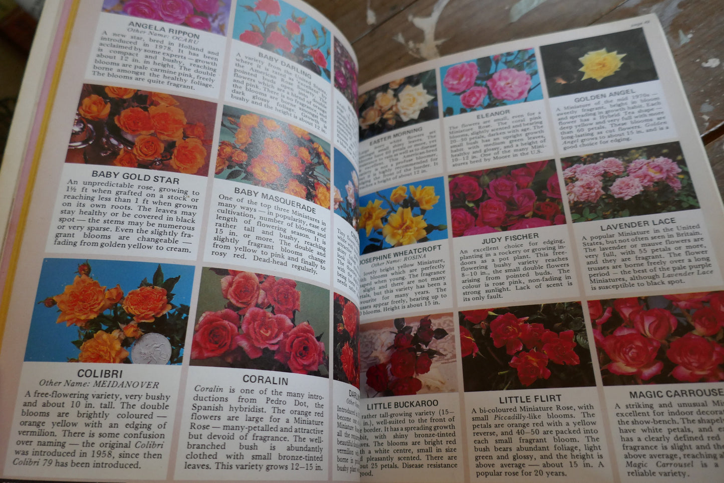 Pair of Vintage English Plant Book- Vintage Garden Book - Coffee table book -  Flower Book - Nature Book - House Plants Book - House Plants