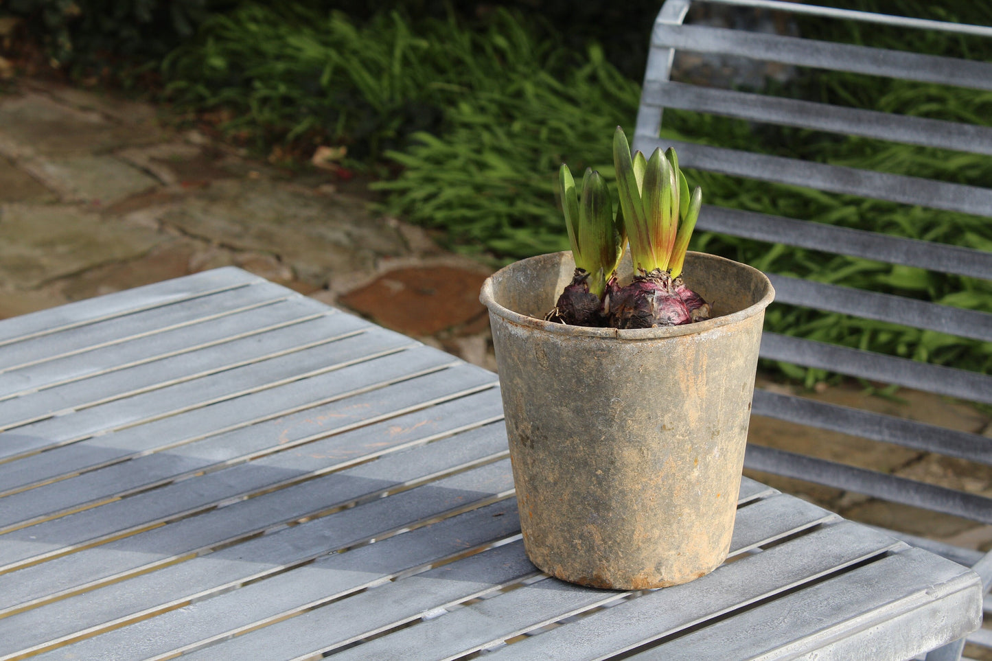 Rustic Zinc Flower Bucket - Vintage Metal Garden Planter - Vintage Galvanised Zinc Planter - Vintage Planter - Metal Planter - Metal Pot