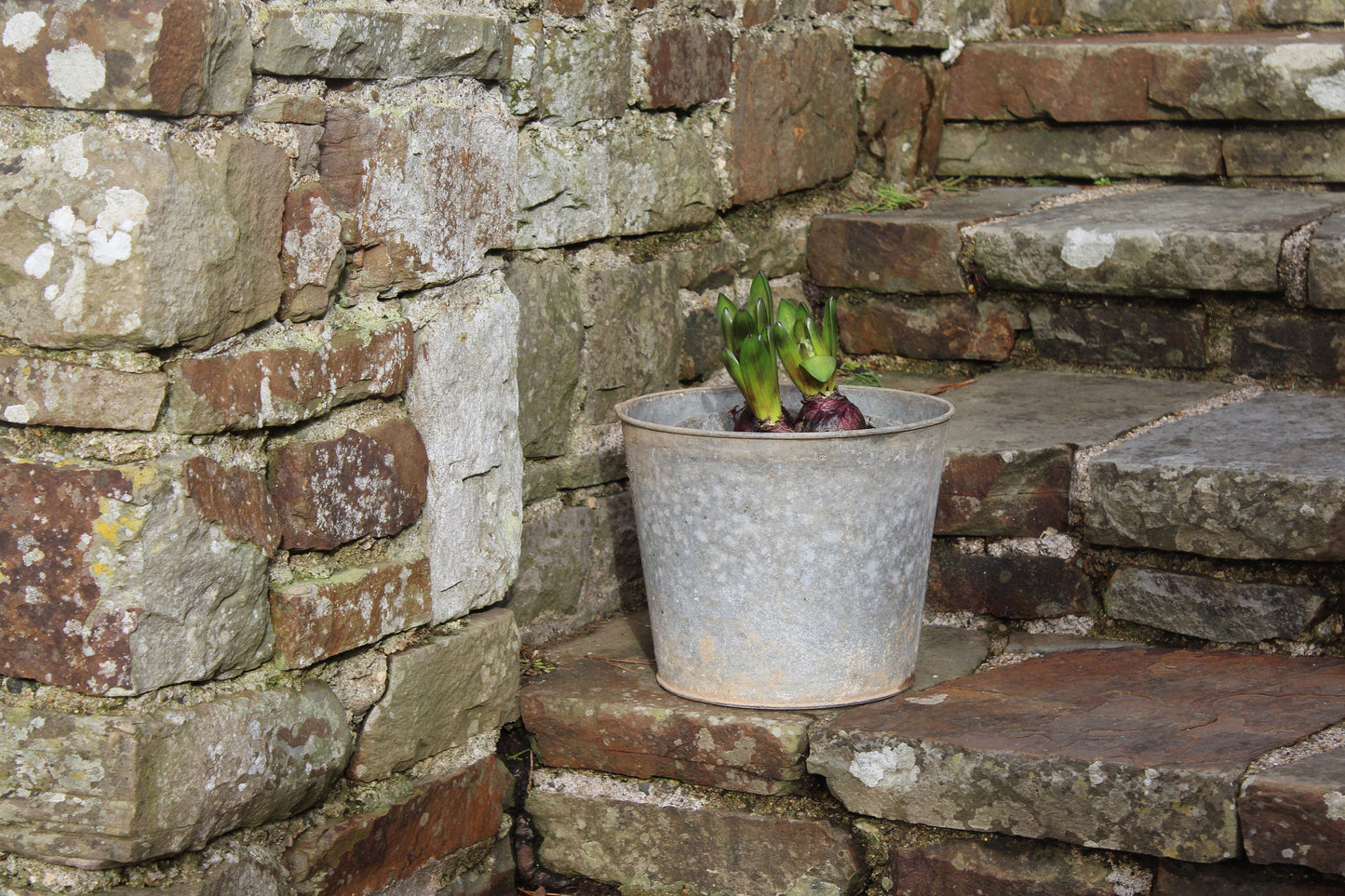 Rustic Zinc Flower Bucket - Vintage Metal Garden Planter - Vintage Galvanised Zinc Planter - Vintage Planter - Metal Planter - Metal Pot