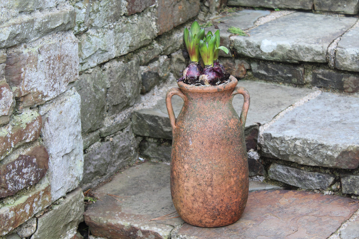 Vintage Terracotta Pot, Vintage Terracotta Urn, Vintage Garden Urn, Vintage Planter, Vintage Terracotta Pot, Flower Pot, Rustic Pot, Planter