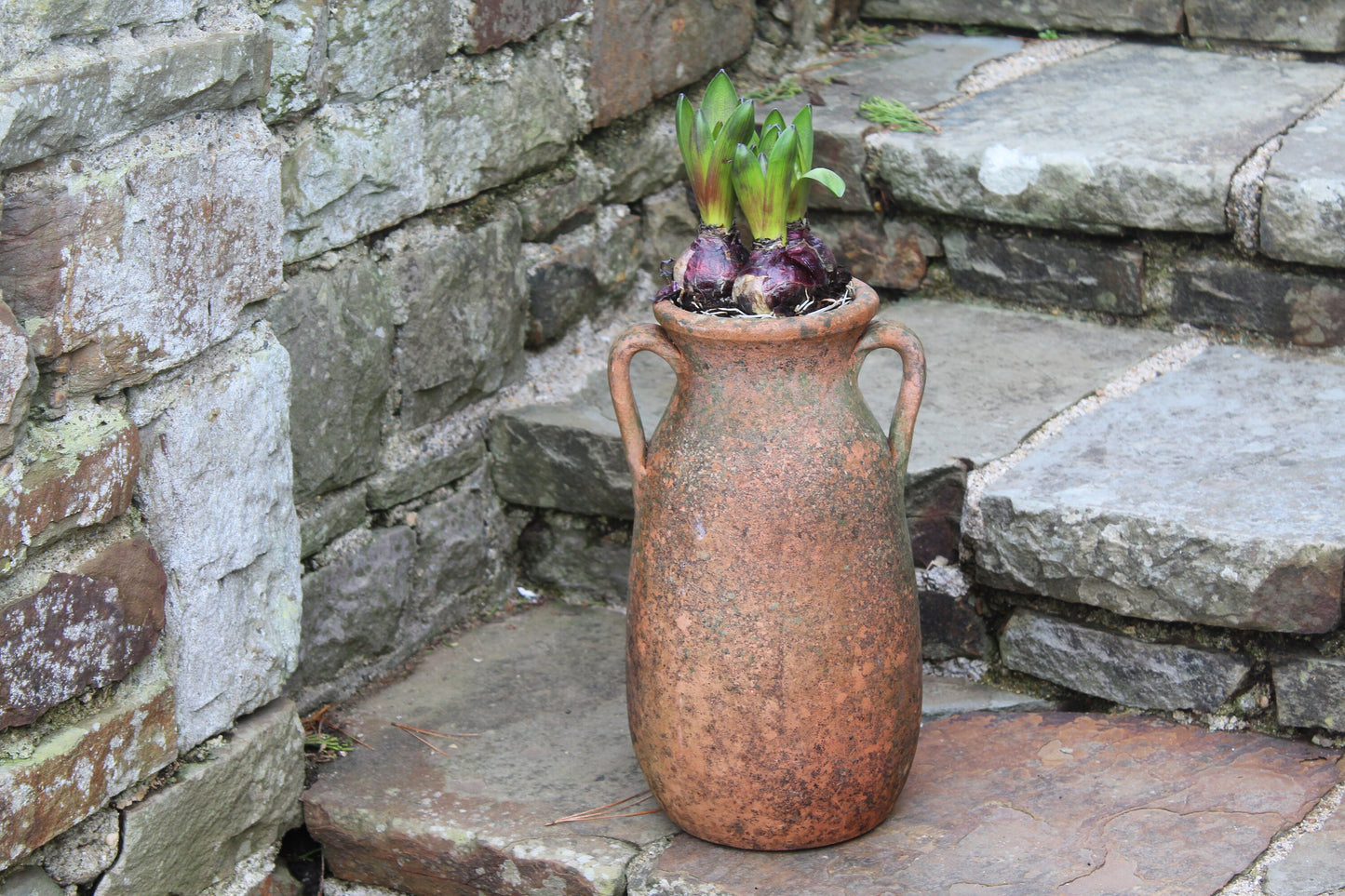 Vintage Terracotta Pot, Vintage Terracotta Urn, Vintage Garden Urn, Vintage Planter, Vintage Terracotta Pot, Flower Pot, Rustic Pot, Planter