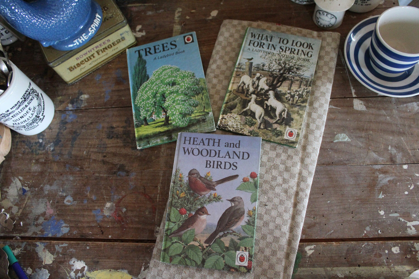 Trio of Vintage Nature Books, Vintage Ladybird Books, Pair of English nature Books, Vintage Animal Books, Vintage Coffee table books