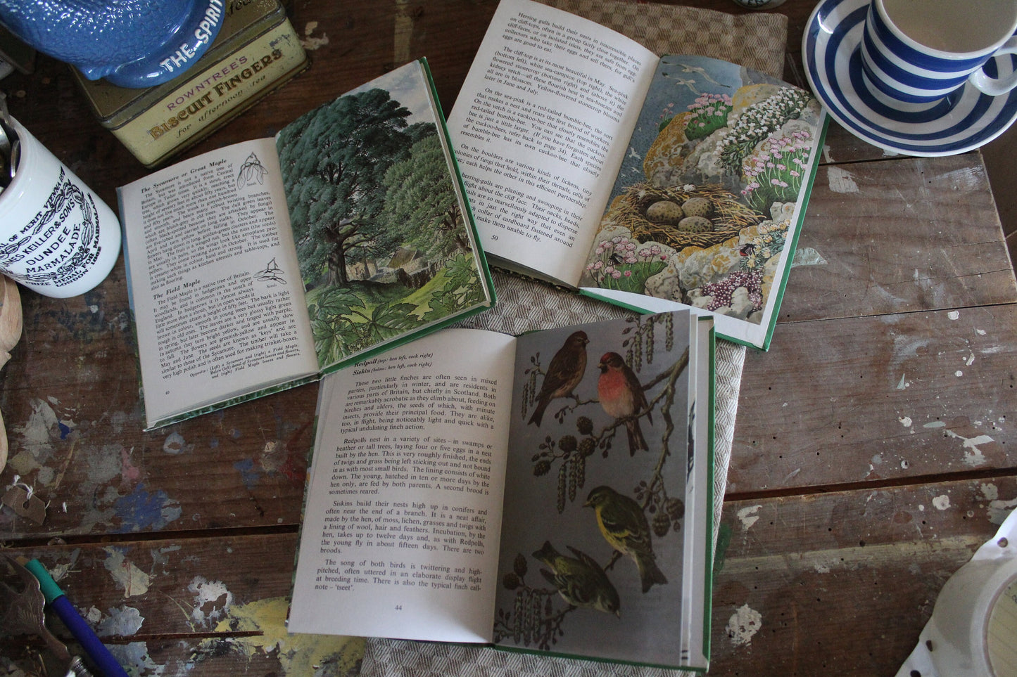 Trio of Vintage Nature Books, Vintage Ladybird Books, Pair of English nature Books, Vintage Animal Books, Vintage Coffee table books