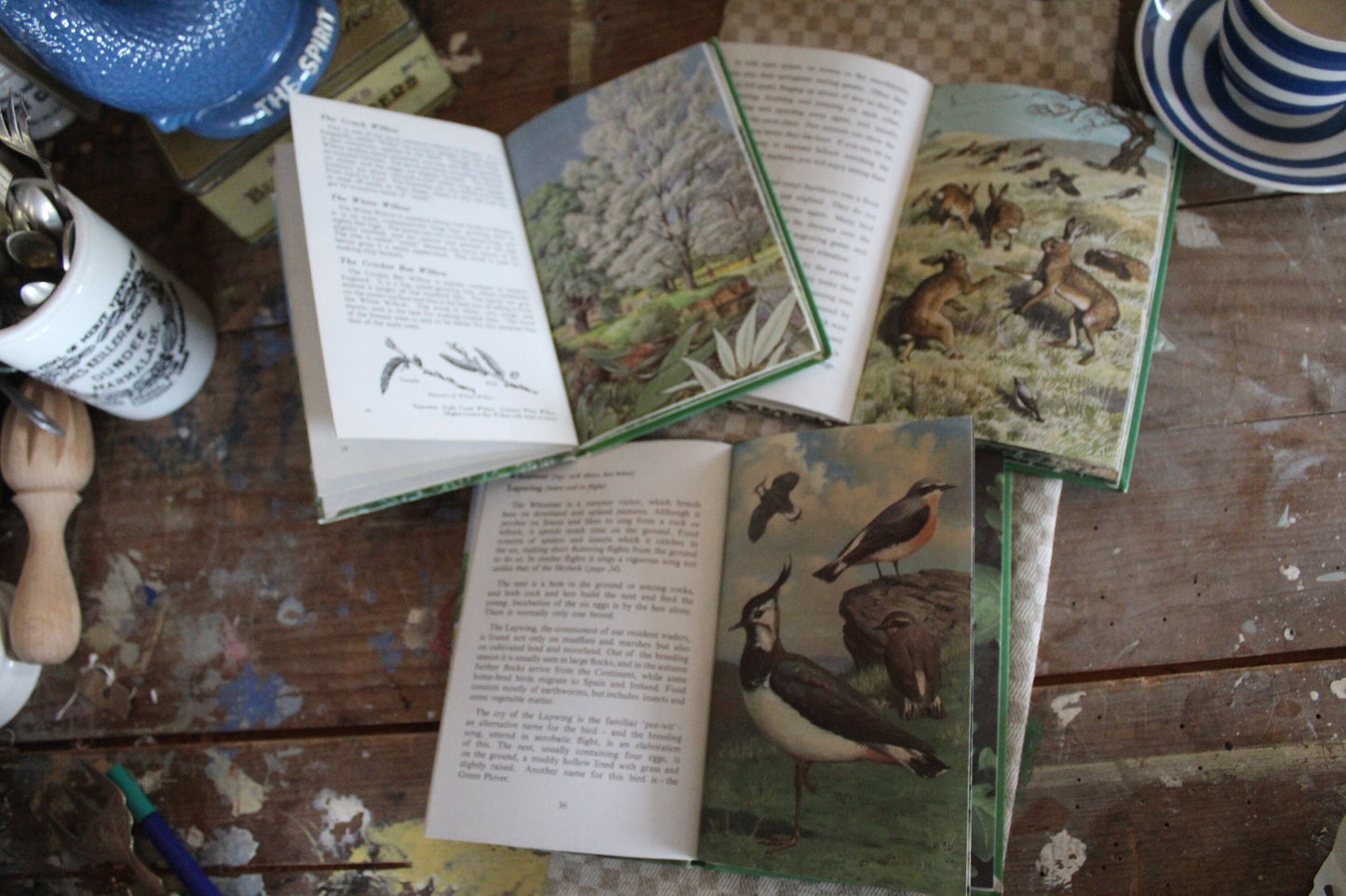 Trio of Vintage Nature Books, Vintage Ladybird Books, Pair of English nature Books, Vintage Animal Books, Vintage Coffee table books