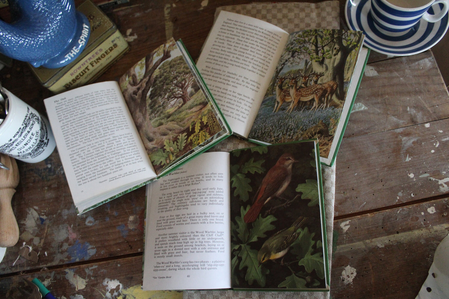 Trio of Vintage Nature Books, Vintage Ladybird Books, Pair of English nature Books, Vintage Animal Books, Vintage Coffee table books