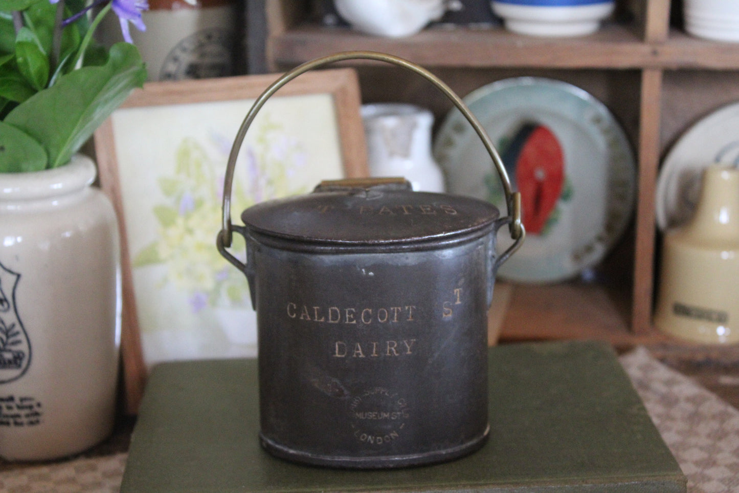 RARE Edwardian Dairy Pot, Antique Advertising Tin, Antique Dairy Tin, Dairy Cream Pot, Antique Advertising Pot, Caldecott Dairy Pot