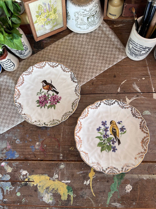 Vintage Cake plates, English bone china plates, serving plates, floral plates, wall plates, Cake Plates, Side Plates, vintage plates