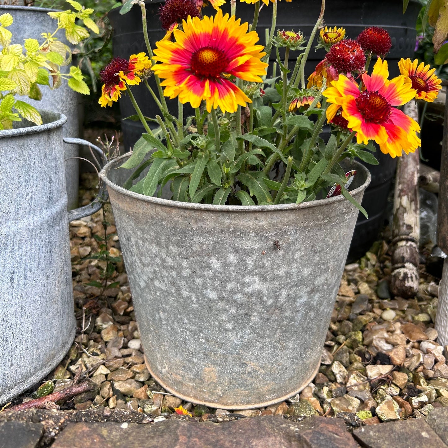 Rustic Zinc Flower Bucket - Vintage Metal Garden Planter - Vintage Galvanised Zinc Planter - Vintage Planter - Metal Planter - Metal Pot