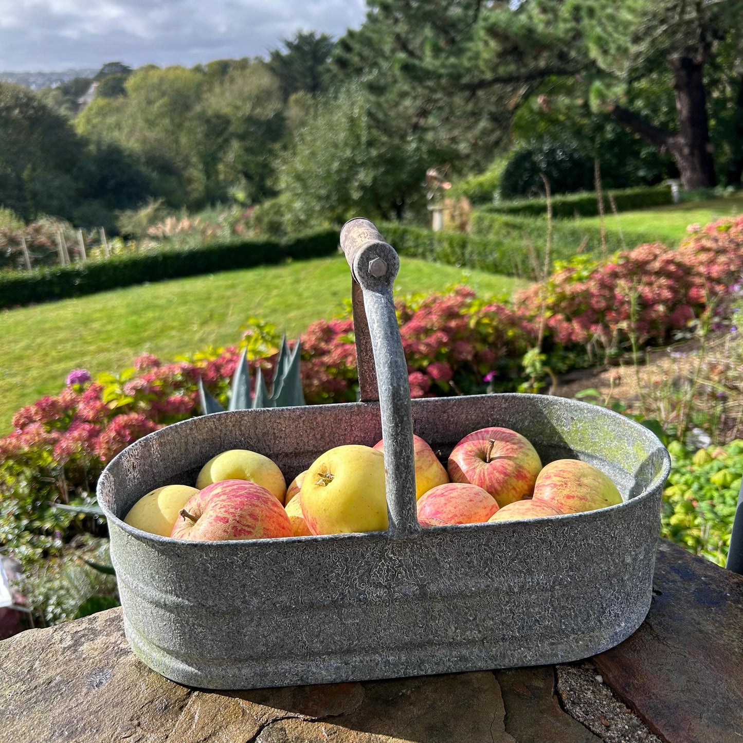 Zinc Garden Trug Basket, Garden Trug Basket, Vintage Basket, Galvanised Trug, Trug Box, Trug Basket, Gardening Basket, Storage Basket