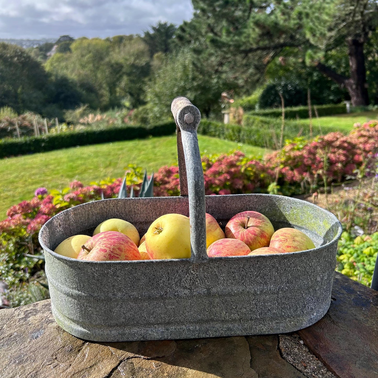 Zinc Garden Trug Basket, Garden Trug Basket, Vintage Basket, Galvanised Trug, Trug Box, Trug Basket, Gardening Basket, Storage Basket