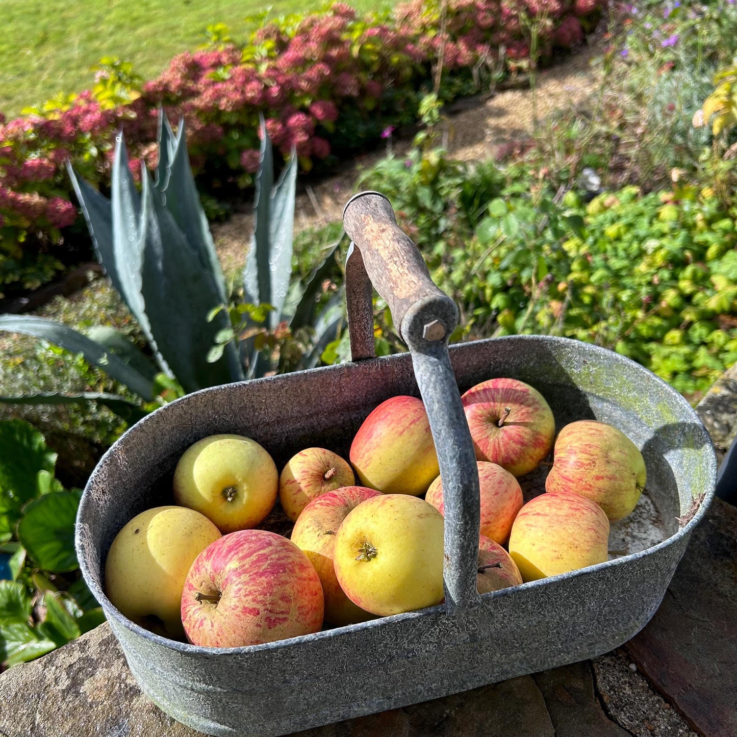 Zinc Garden Trug Basket, Garden Trug Basket, Vintage Basket, Galvanised Trug, Trug Box, Trug Basket, Gardening Basket, Storage Basket